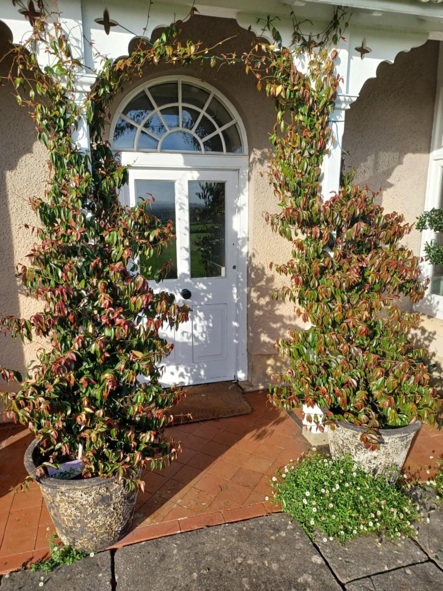 Rusling House Bed and Breakfast Butcombe Buitenkant foto